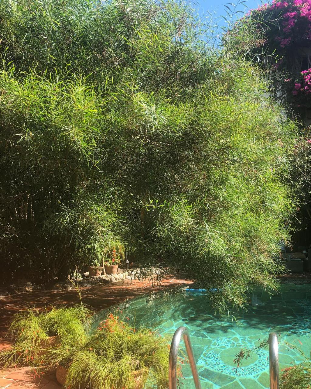 EL VINO — BODRUM — fotografie hotel nr. 19