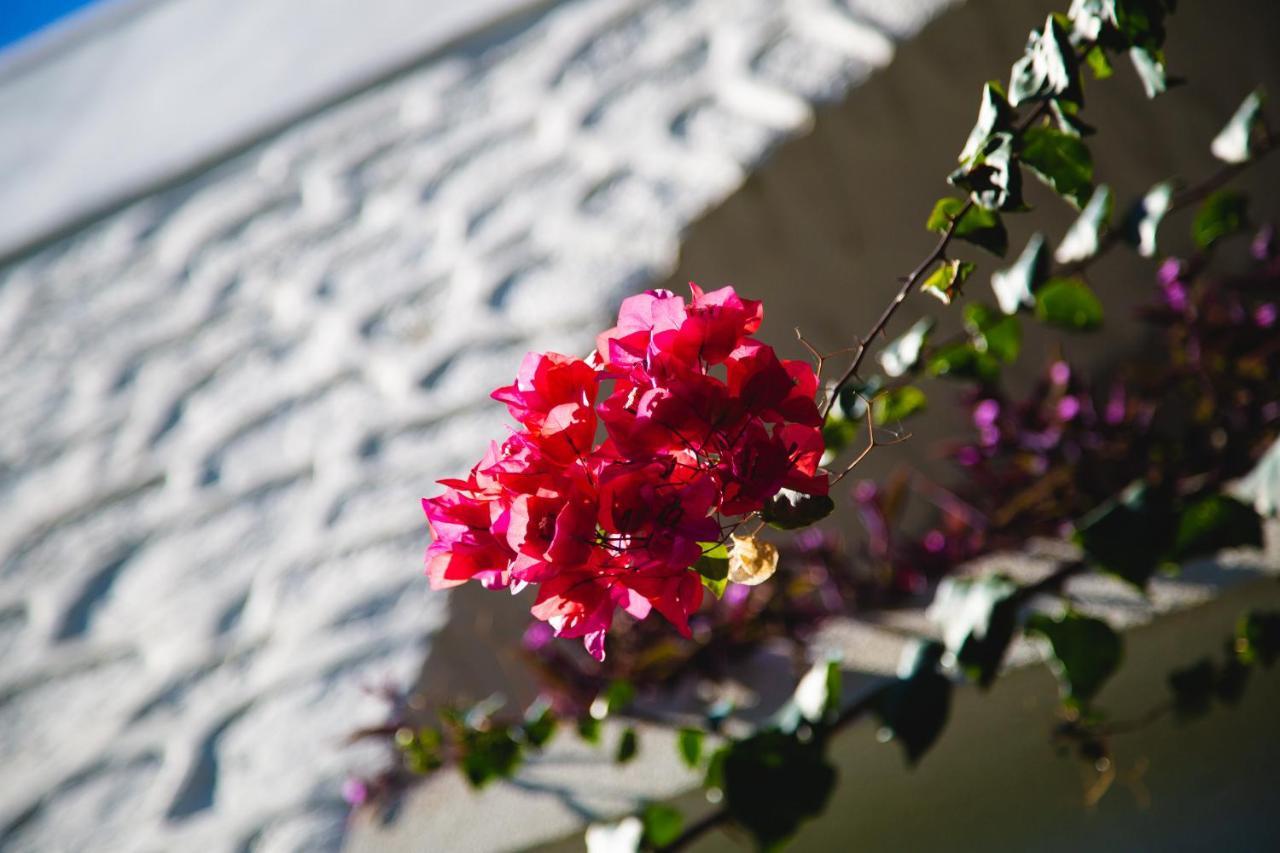 KARIA PRINCESS — BODRUM — fotografie hotel nr. 23