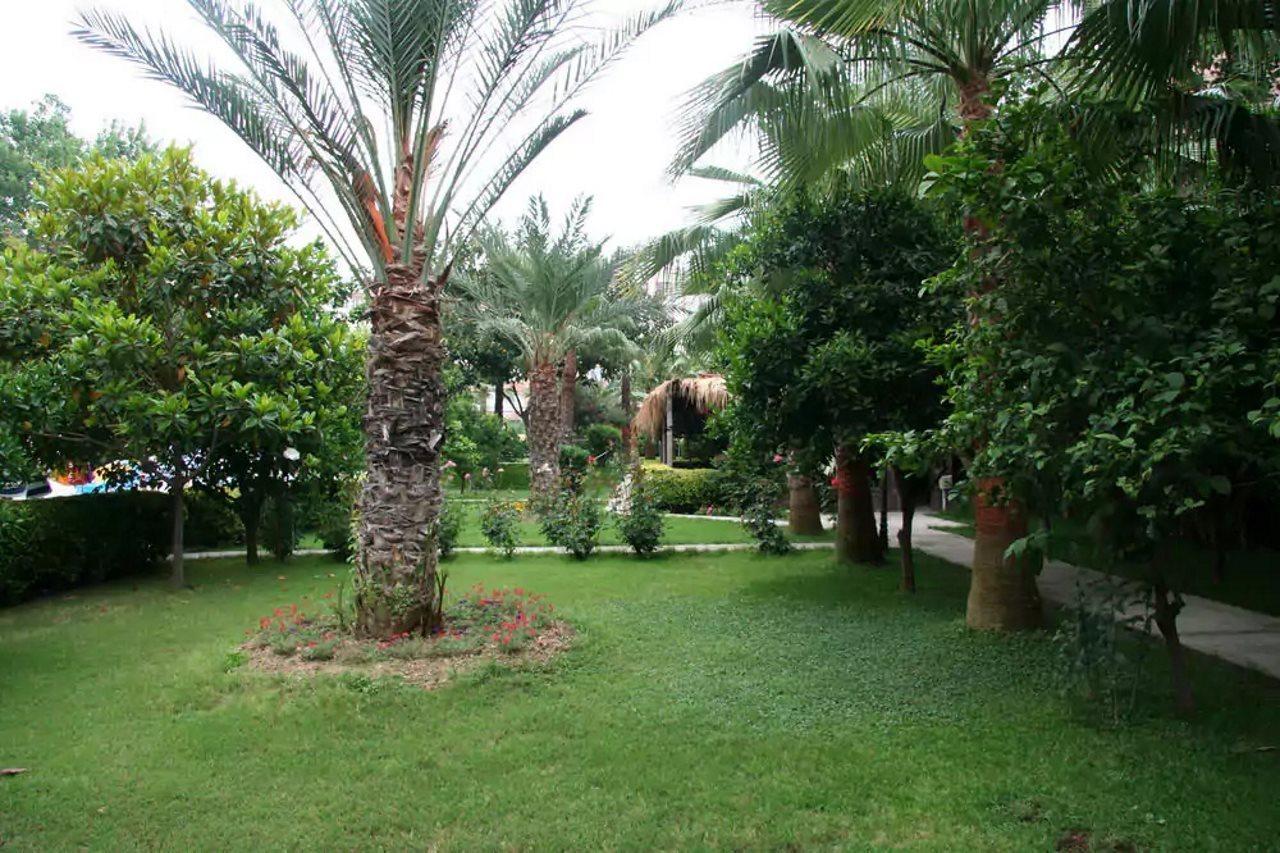 ELYSEE GARDEN APART HOTEL — ALANYA — fotografie hotel nr. 11