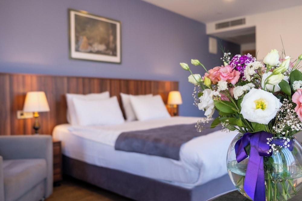 WISTERIA BOUTIQUE HOTEL BOMONTI — ISTANBUL — fotografie hotel nr. 8