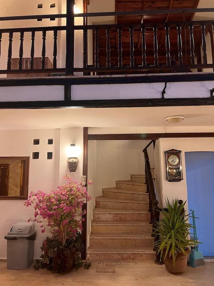 HOTEL PALMA ROSA — CAMYUVA — фотография отеля №21
