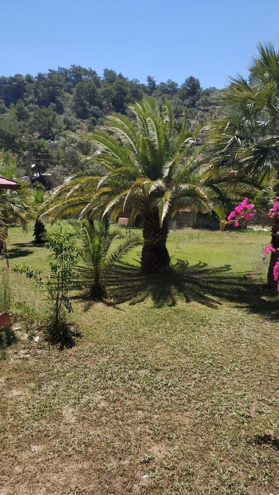 THE PALM APART SARIGERME — SARIGERME — fotografie hotel nr. 25
