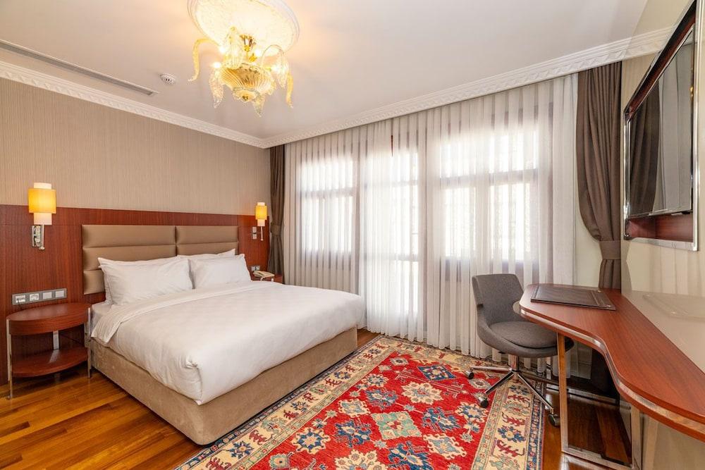 BLUE GILROY HOTEL — ISTANBUL — фотография отеля №3