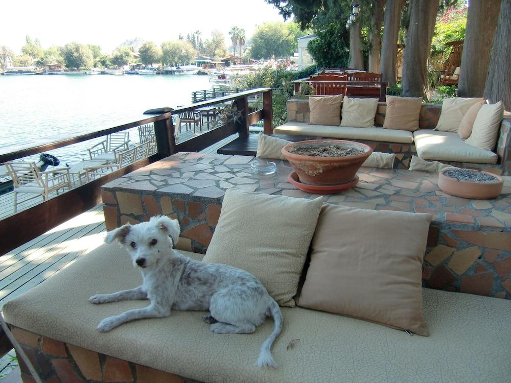 HOTEL HAPPY CARETTA — DALYAN — фотография отеля №34