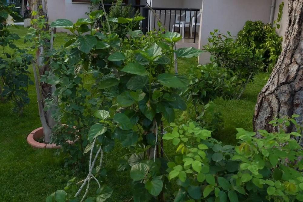 MG CLUB AKMAN BEACH HOTEL — KEMER — fotografie hotel nr. 31