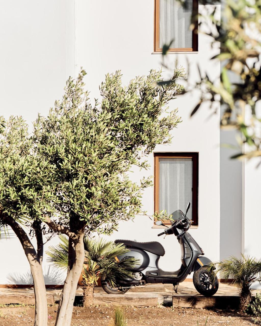CASA CARIA SALMAKIS — BODRUM — fotografie hotel nr. 16