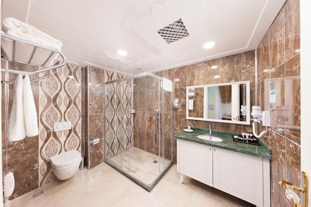 SEVEN HILLS PALACE HOTEL — ISTANBUL — фотография отеля №18