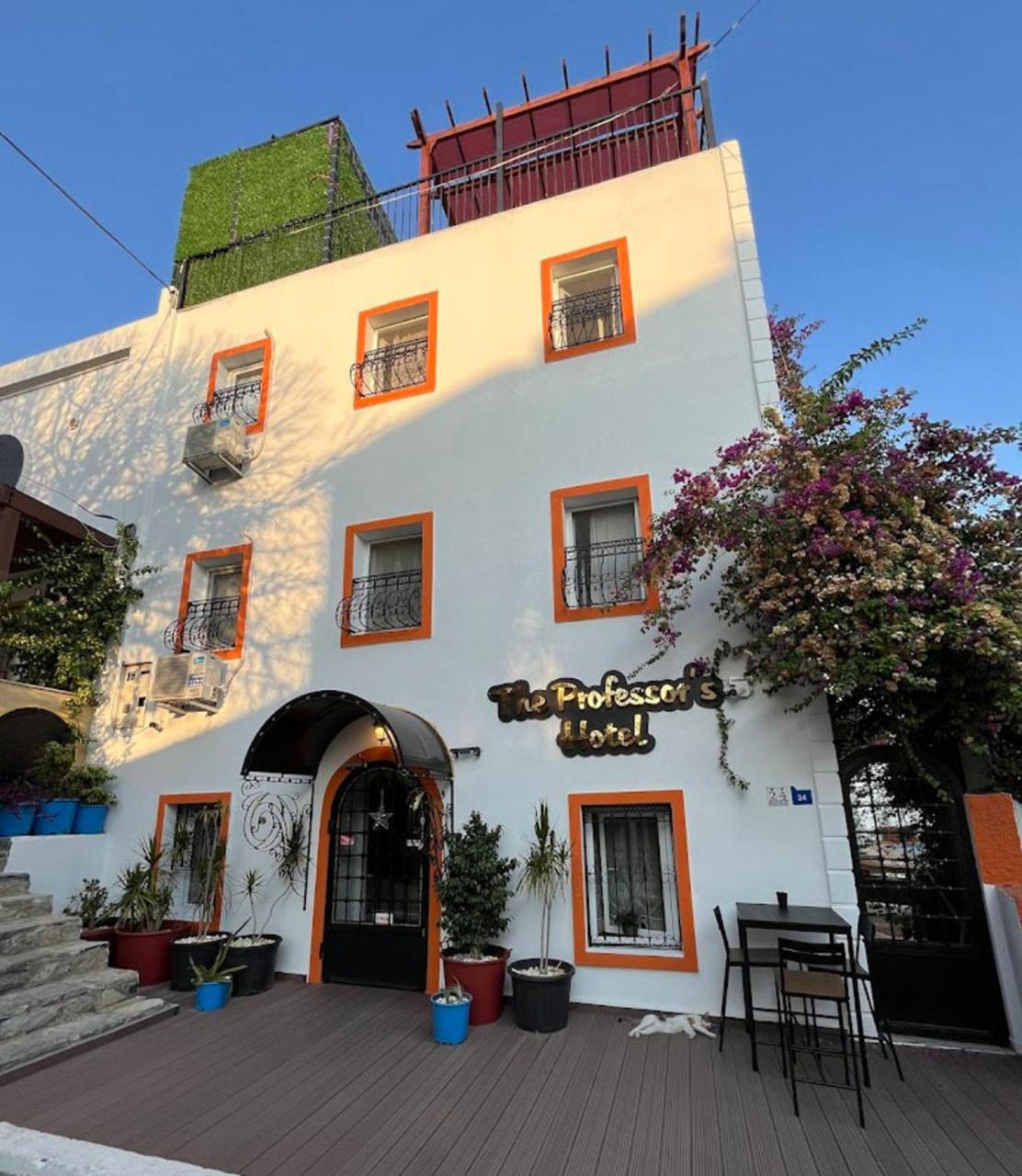 THE PROFESSORS HOTEL — BODRUM