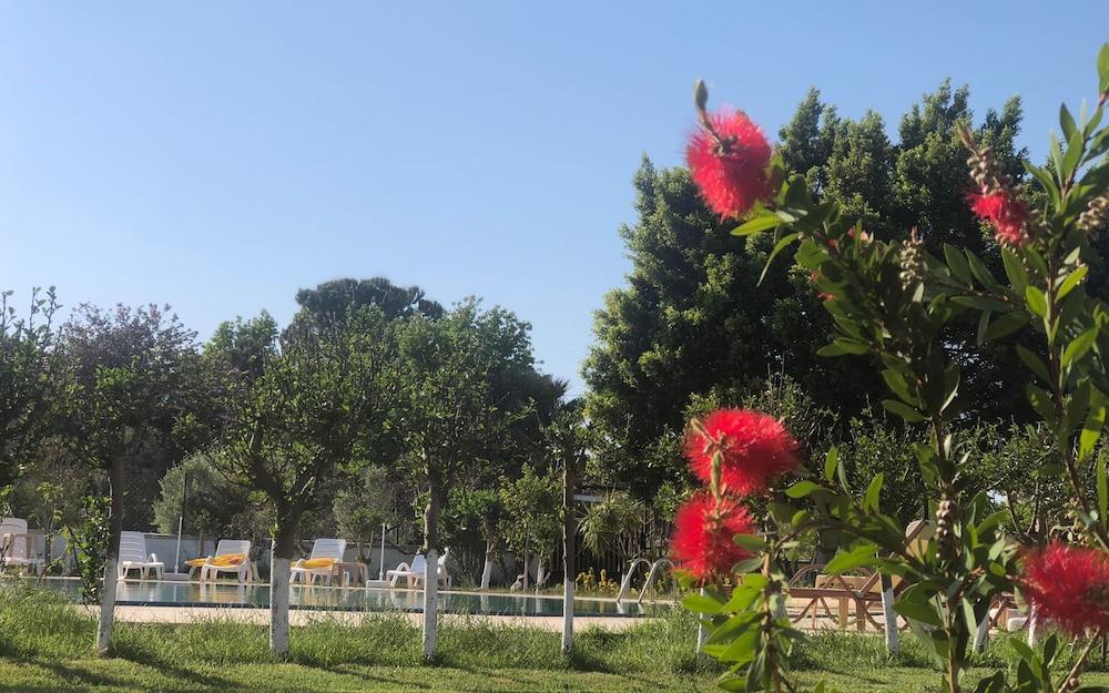 HOTEL PALME — DALYAN — fotografie hotel nr. 19