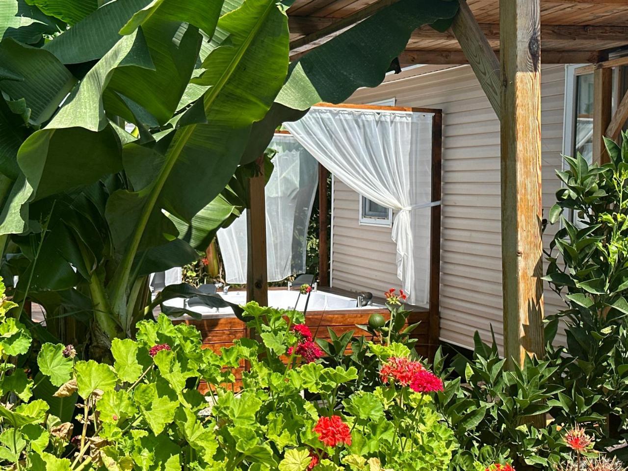 KIRIS GARDEN HOTEL — KIRIS — fotografie hotel nr. 8