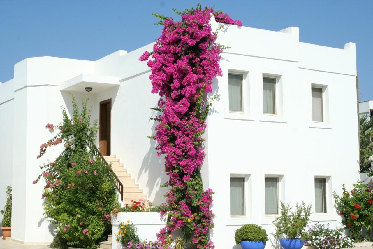 SECKIN KONAKLAR — BODRUM — фотография отеля №5