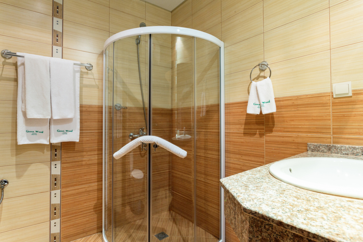 GREEN WOOD HOTEL — RAZLOG — fotografie hotel nr. 4
