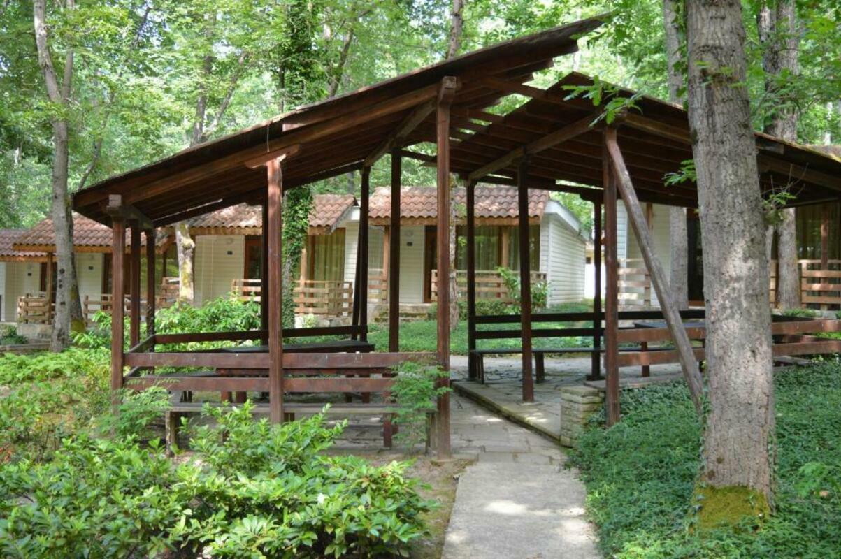 VILLAS HOLIDAYS — PRIMORSKO — фотография отеля №10