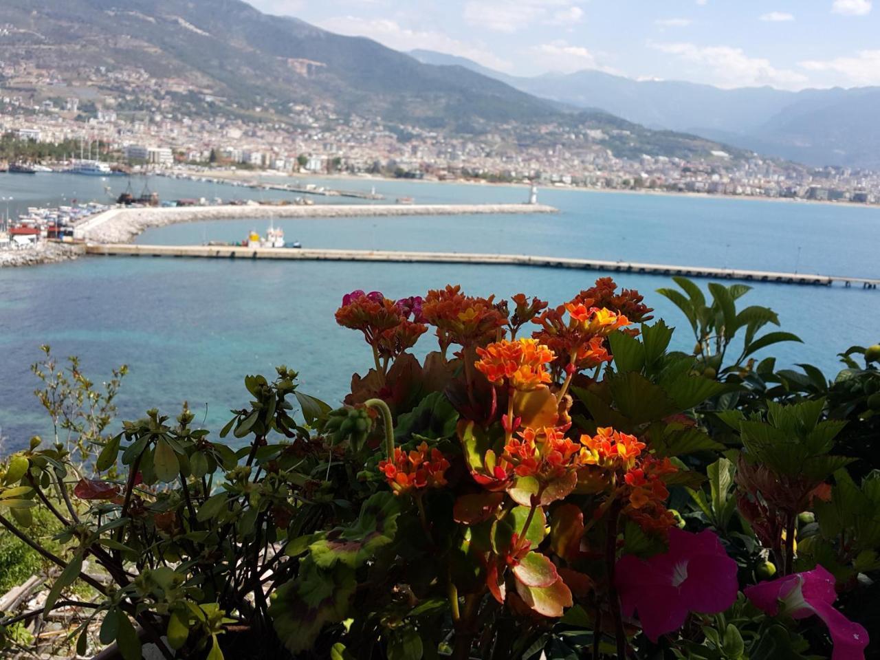 PARADOR BEACH HOTEL — ALANYA — фотография отеля №9