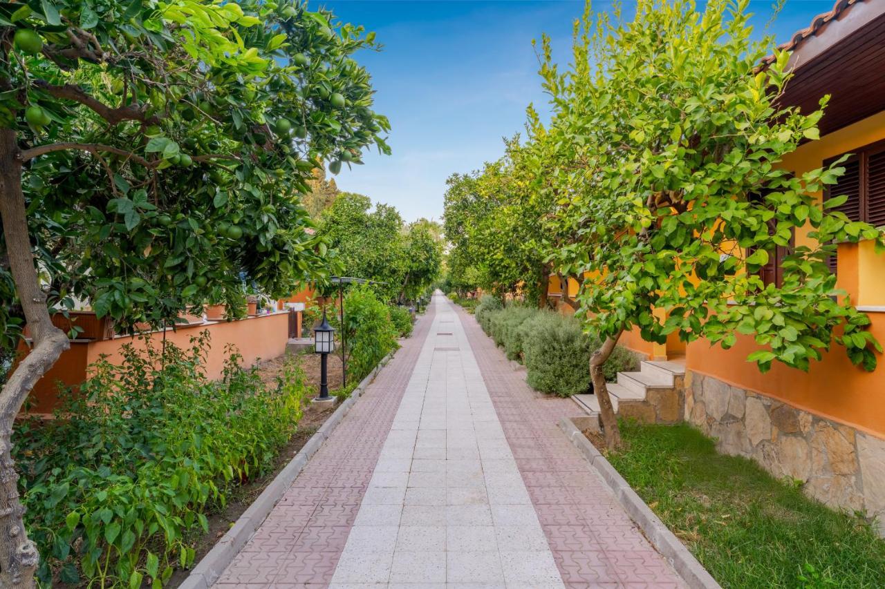 OZLEM GARDEN HOTEL — SIDE — fotografie hotel nr. 13