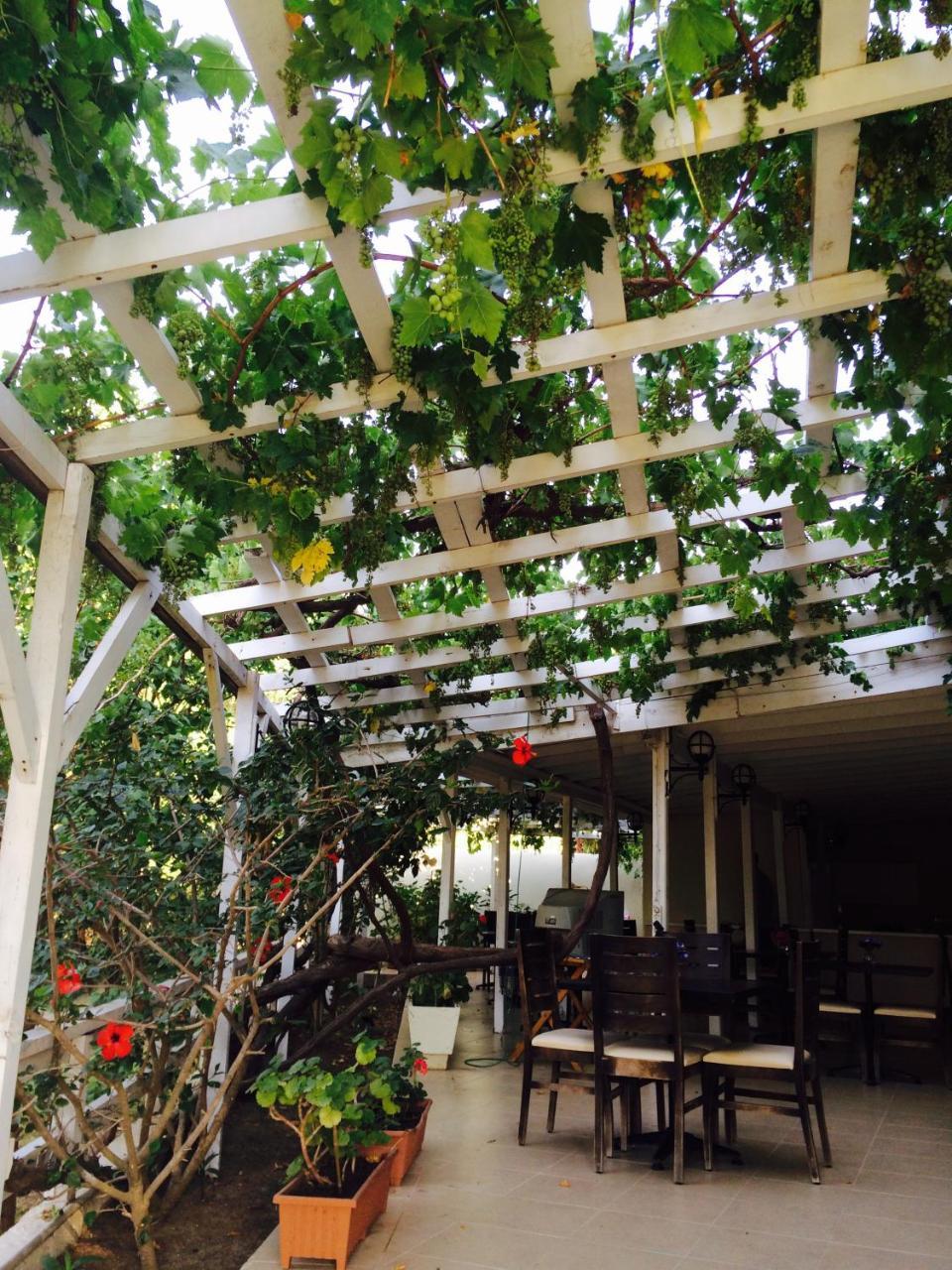 MAVIEV HOTEL — CESME — фотография отеля №25
