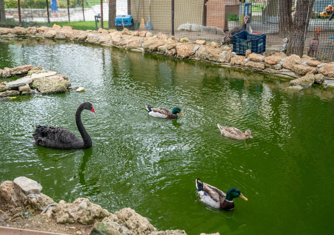ARMAS PEMAR BEACH RESORT — MANAVGAT — fotografie hotel nr. 27