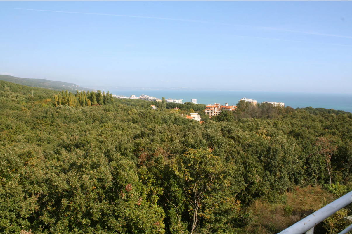 BELLEVUE — GOLDEN SANDS — fotografie hotel nr. 10