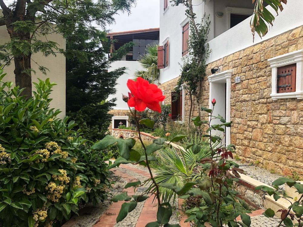 ARION RESORT BOUTIQUE HOTEL — BODRUM — fotografie hotel nr. 4