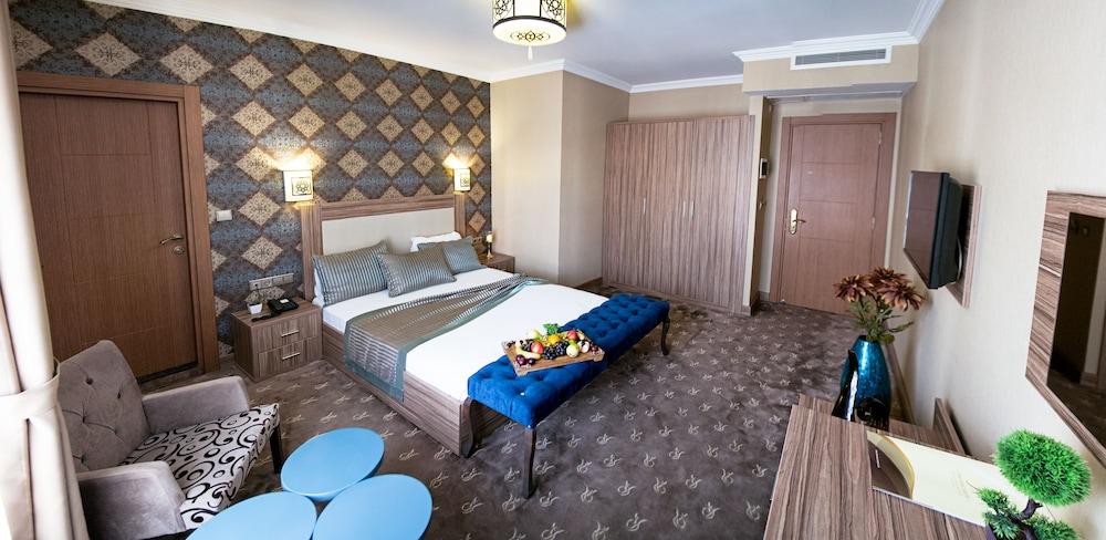 THE RISE ARON BUSINESS HOTEL MERTER — ISTANBUL — фотография отеля №9