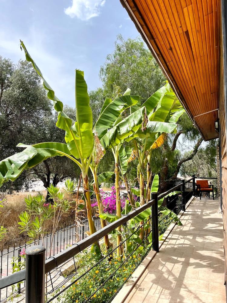 ATA BOUTIQUE HOTEL — CESME — фотография отеля №33