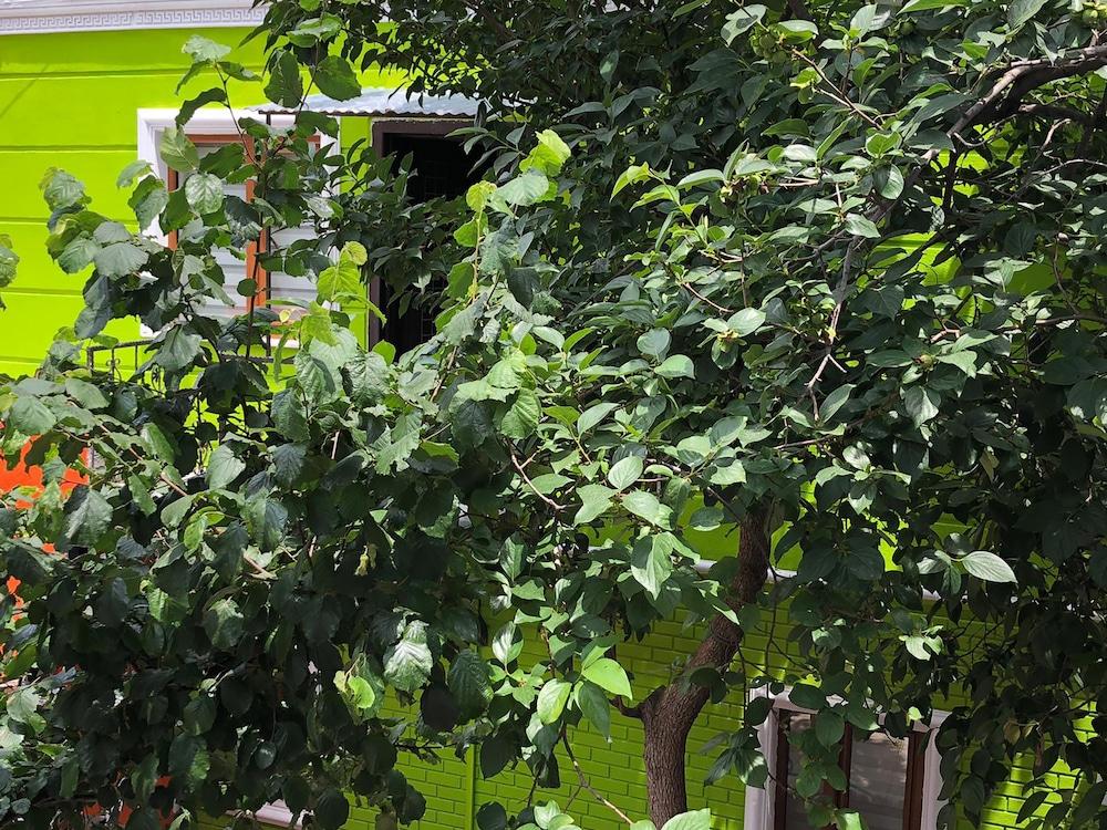 THE ZANADU ISTANBUL — ISTANBUL — fotografie hotel nr. 39