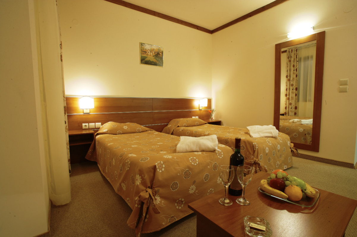 VIHREN PALACE SKI & SPA RESORT — BANSKO — фотография отеля №10