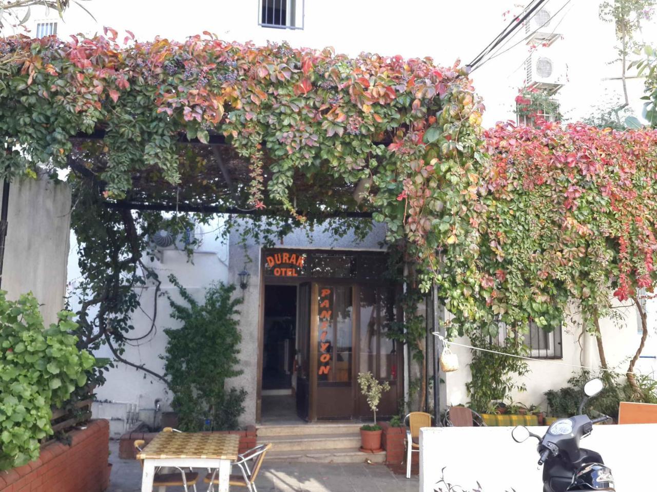 DURAK HOTEL — BODRUM — fotografie hotel nr. 21