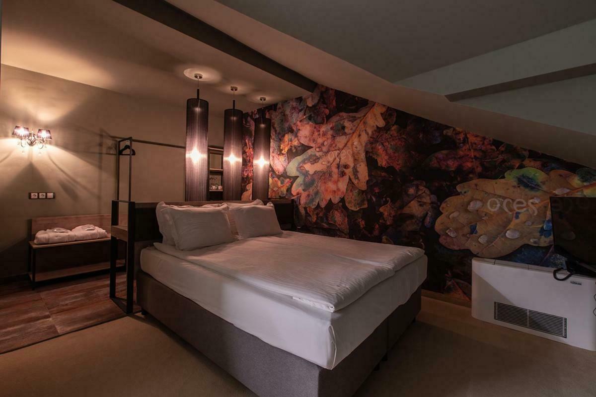 ORES BOUTIQUE HOTEL — BANSKO — фотография отеля №25
