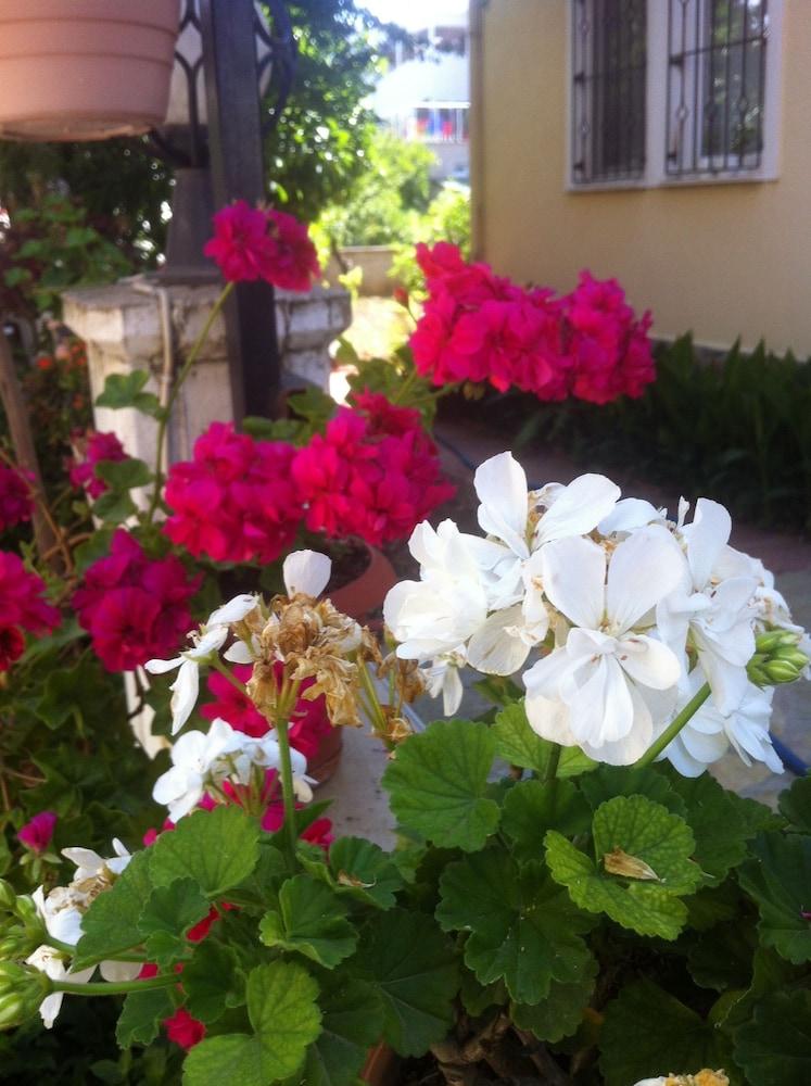 BESIK HOTEL — FETHIYE — фотография отеля №23