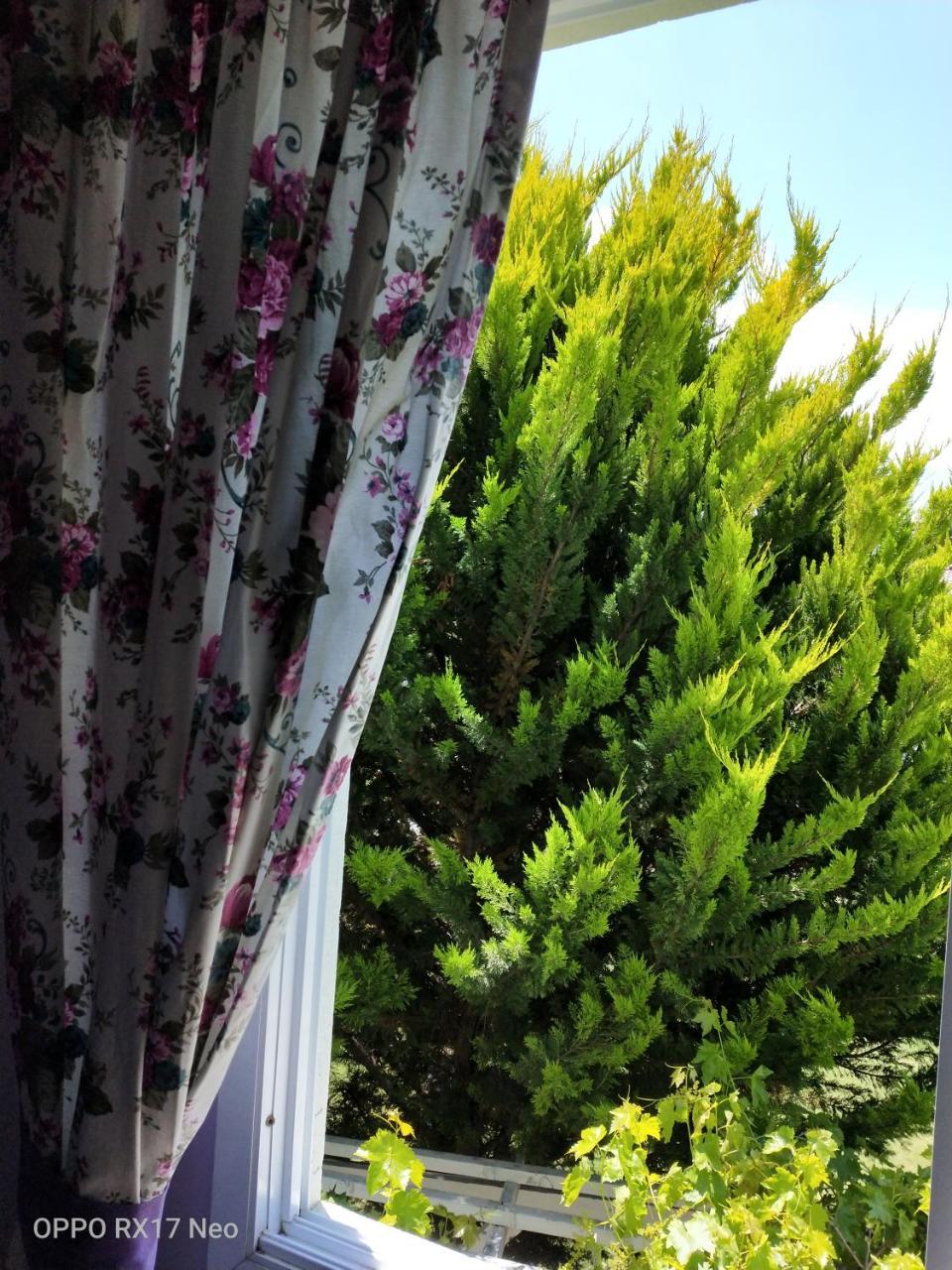 MAVIEV HOTEL — CESME — фотография отеля №10