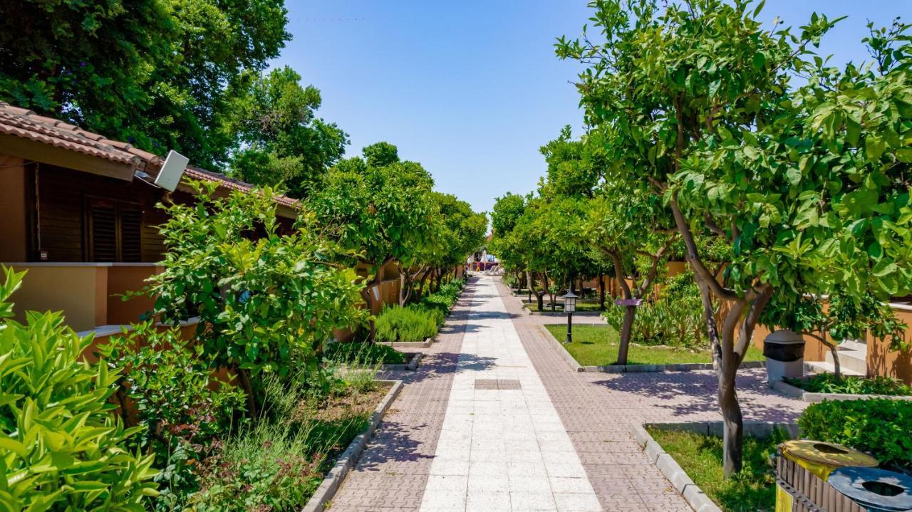 OZLEM GARDEN HOTEL — SIDE — fotografie hotel nr. 6