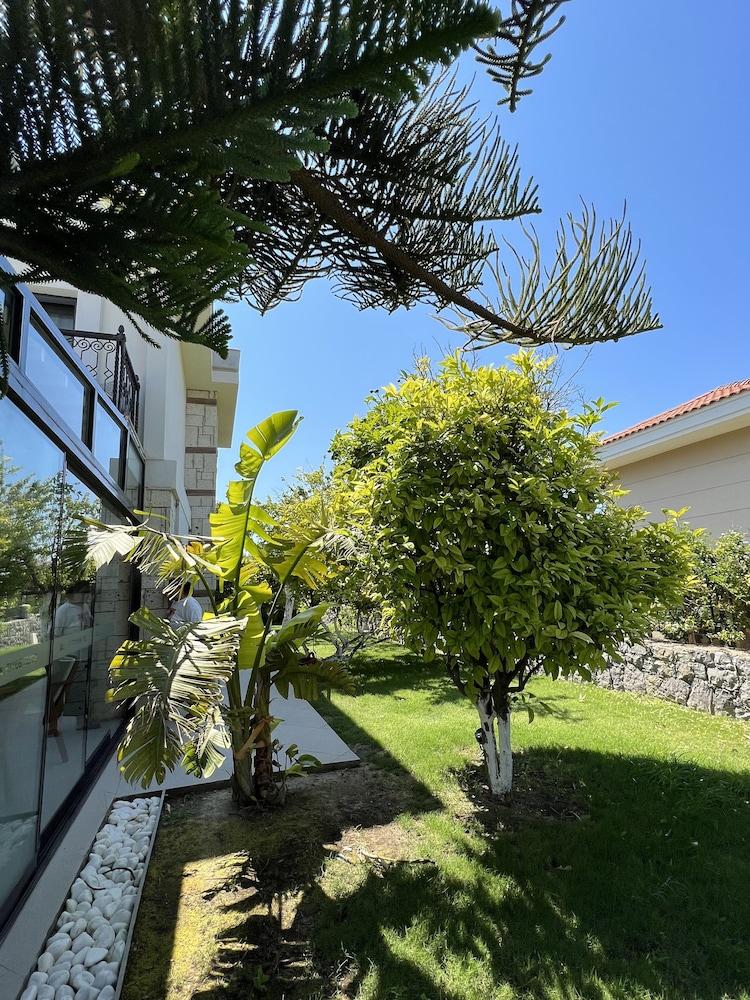 DALYAN RISUS SUITE — CESME — фотография отеля №24