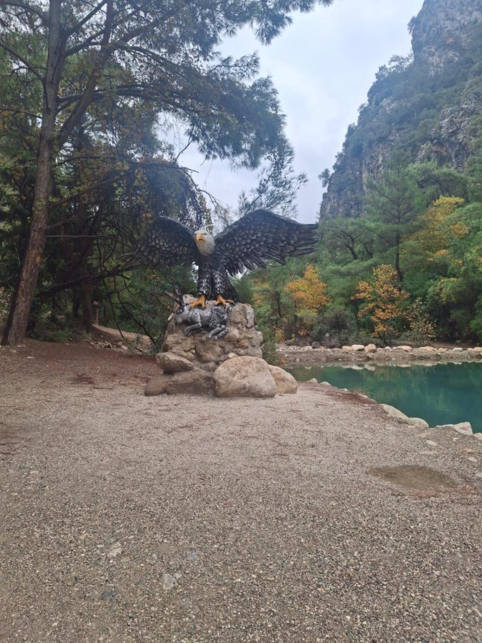 ORANGE GARDEN — KEMER — фотография отеля №35