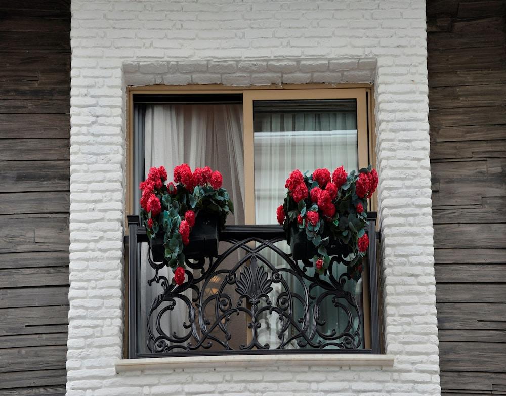 AYBAR HOTEL BOUTIQUE — ISTANBUL — фотография отеля №21