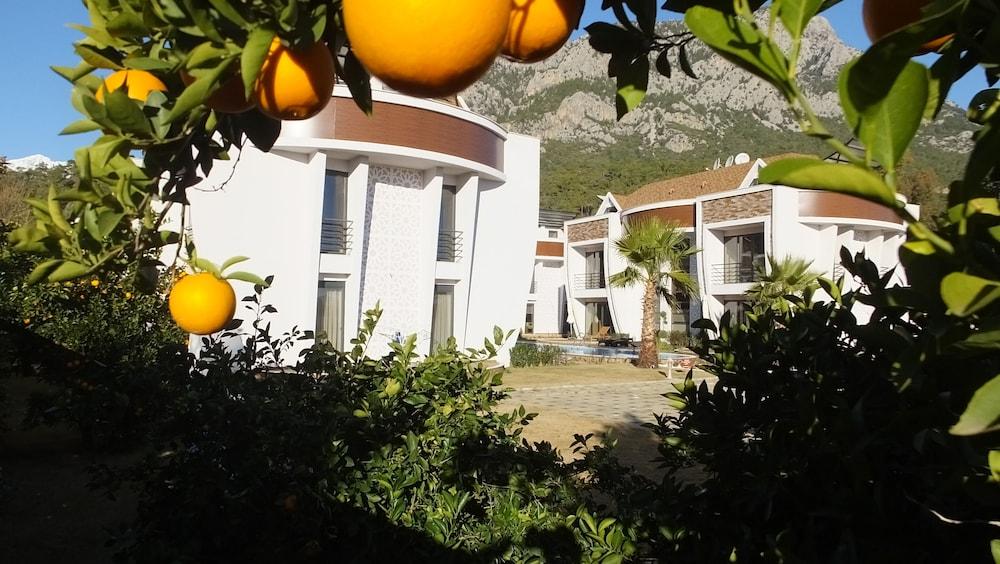 HANDE HOMES — KEMER — fotografie hotel nr. 29
