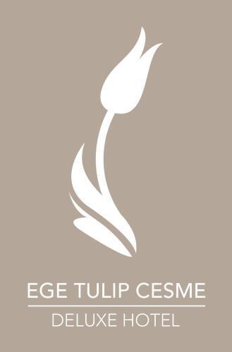 EGE TULIP CESME — CESME — fotografie hotel nr. 4