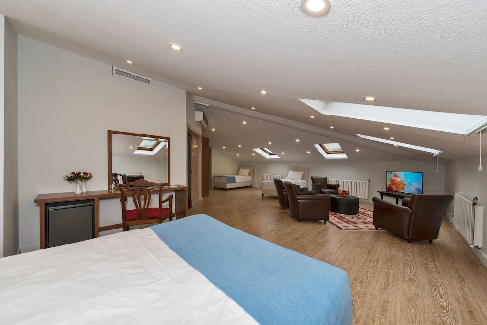 FEBOR PARK HOTEL — ISTANBUL — fotografie hotel nr. 9