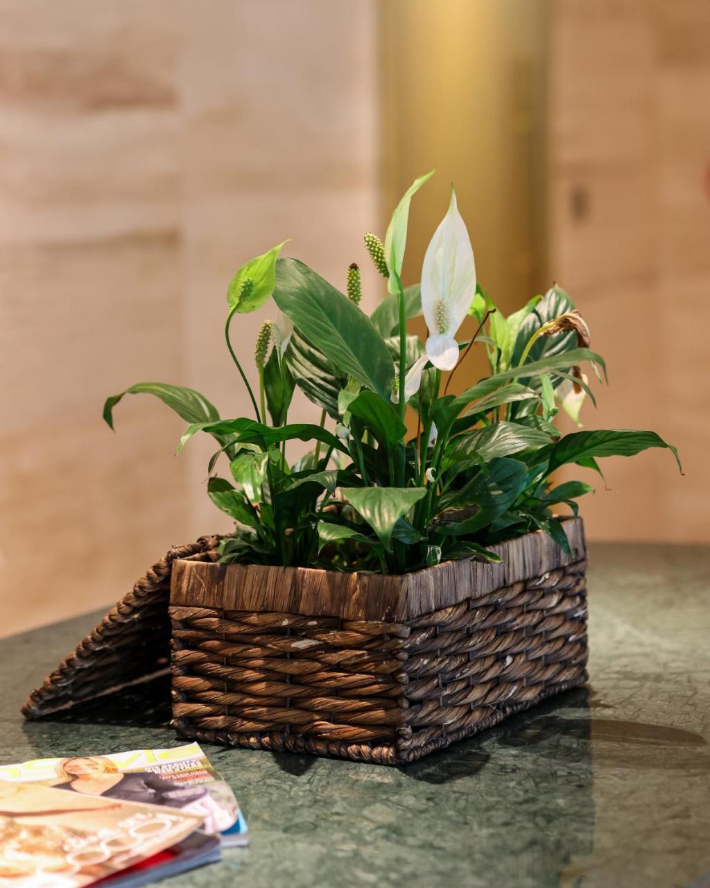 THE XON HOTEL — CESME — fotografie hotel nr. 20