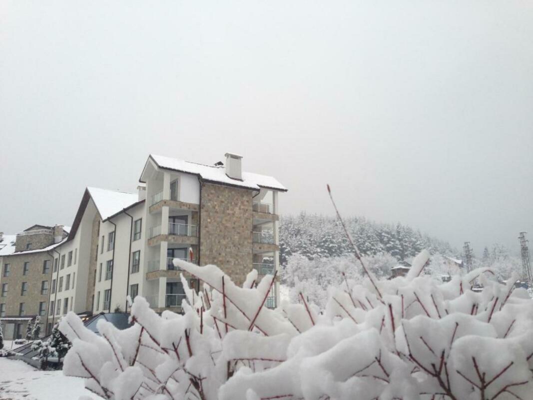 ST.GEORGE PALACE — BANSKO — фотография отеля №8