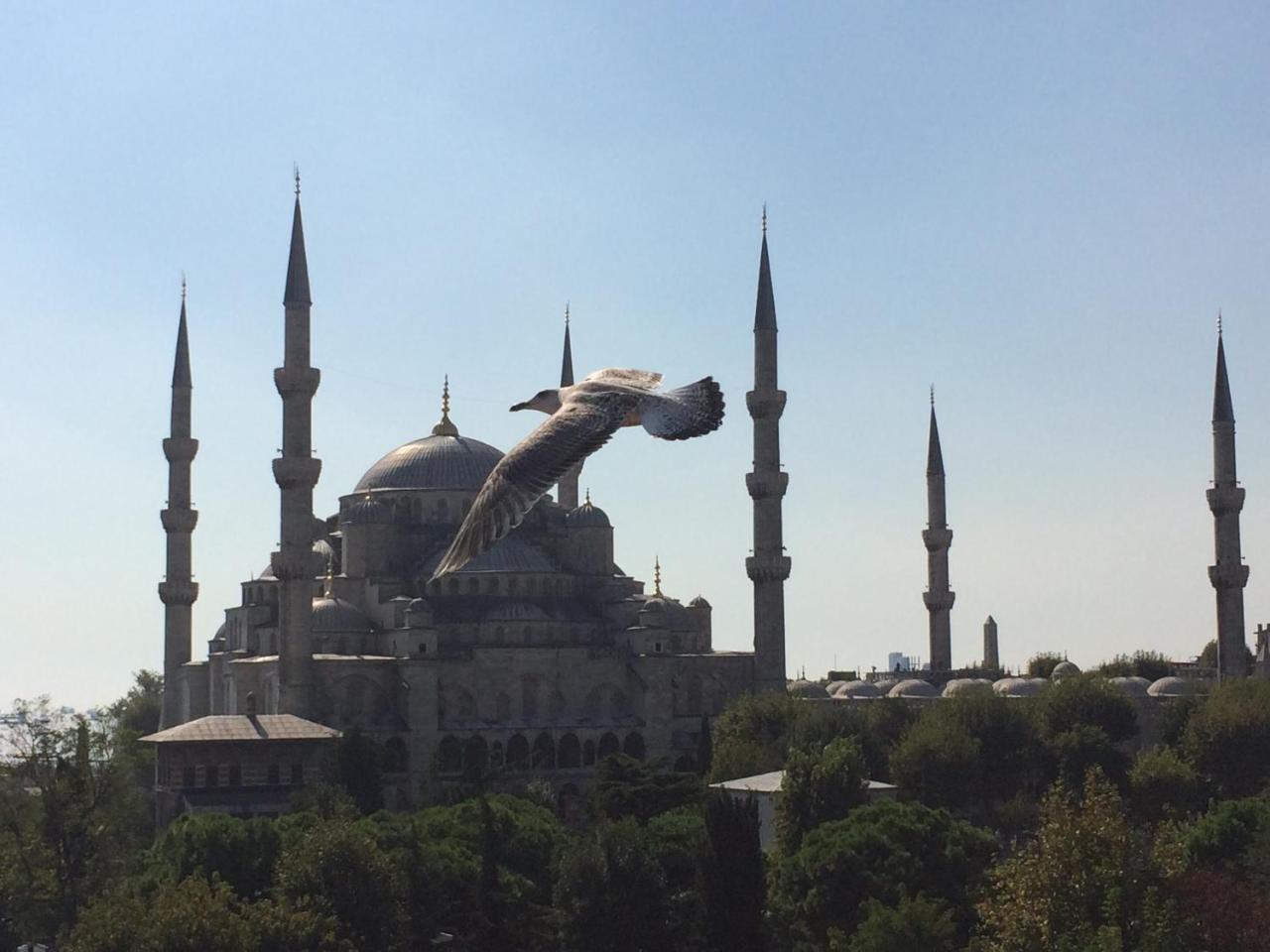 KALYON HOTEL ISTANBUL — ISTANBUL — fotografie hotel nr. 34