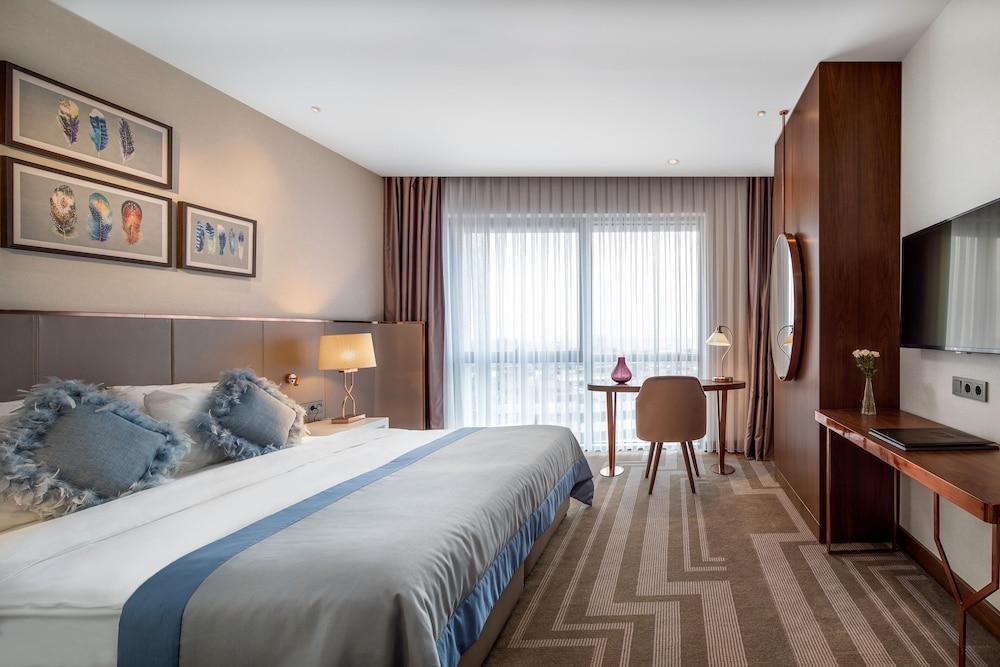 LIONEL HOTEL ISTANBUL — ISTANBUL — фотография отеля №15