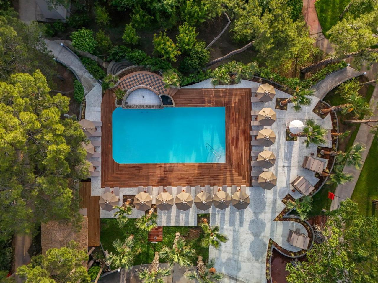 BALMY FORESTA — KEMER — фотография отеля №21