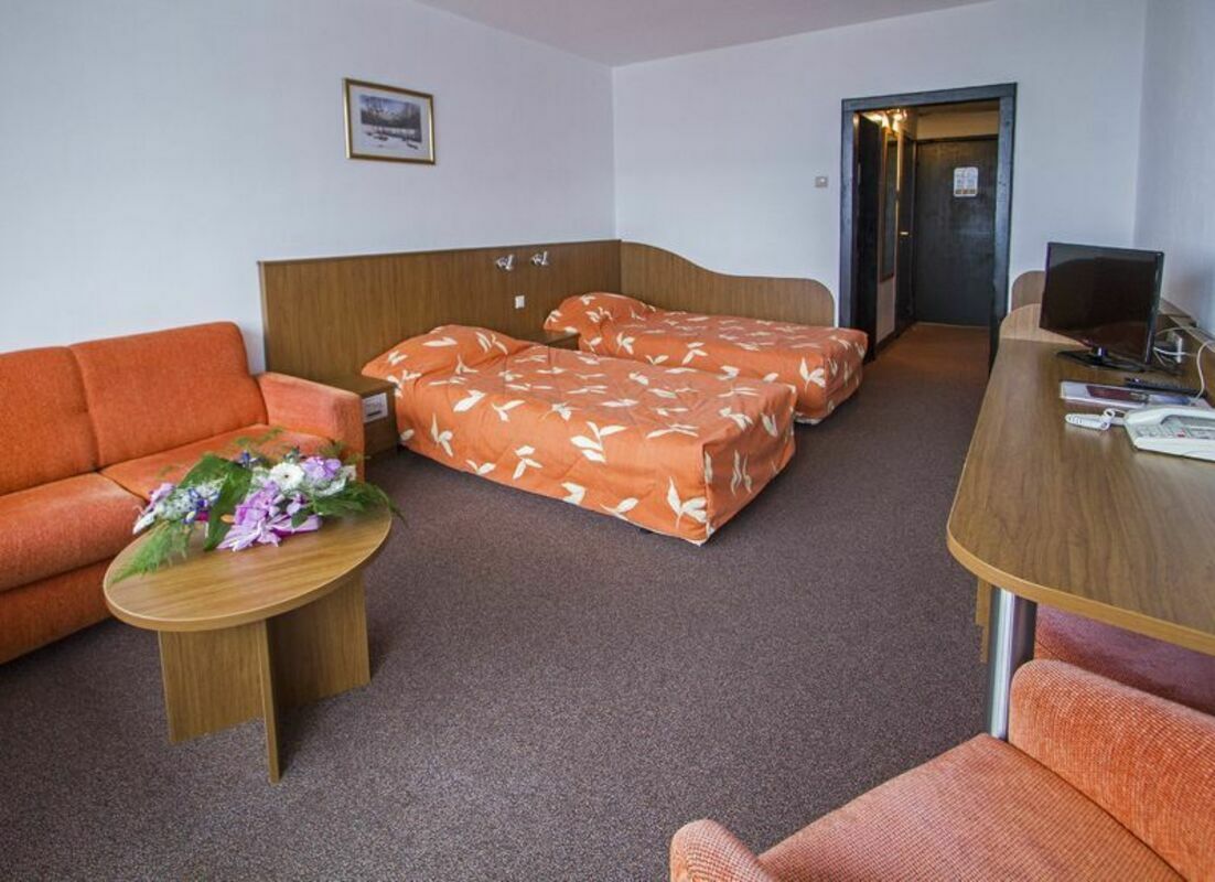 SAMOKOV HOTEL — BOROVETS — fotografie hotel nr. 13