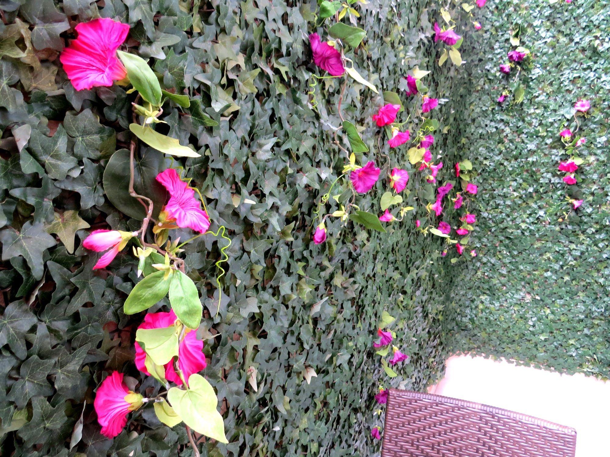 ISTANBERRY SUNSHINE FLATS — ISTANBUL — fotografie hotel nr. 37