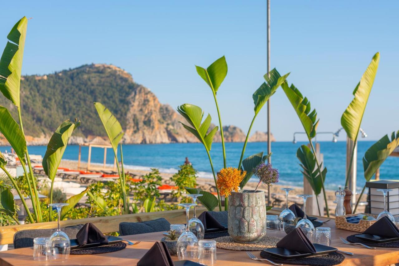 ROYALISA PALMIYE BEACH HOTEL (ADULTS ONLY) — ALANYA — fotografie hotel nr. 11