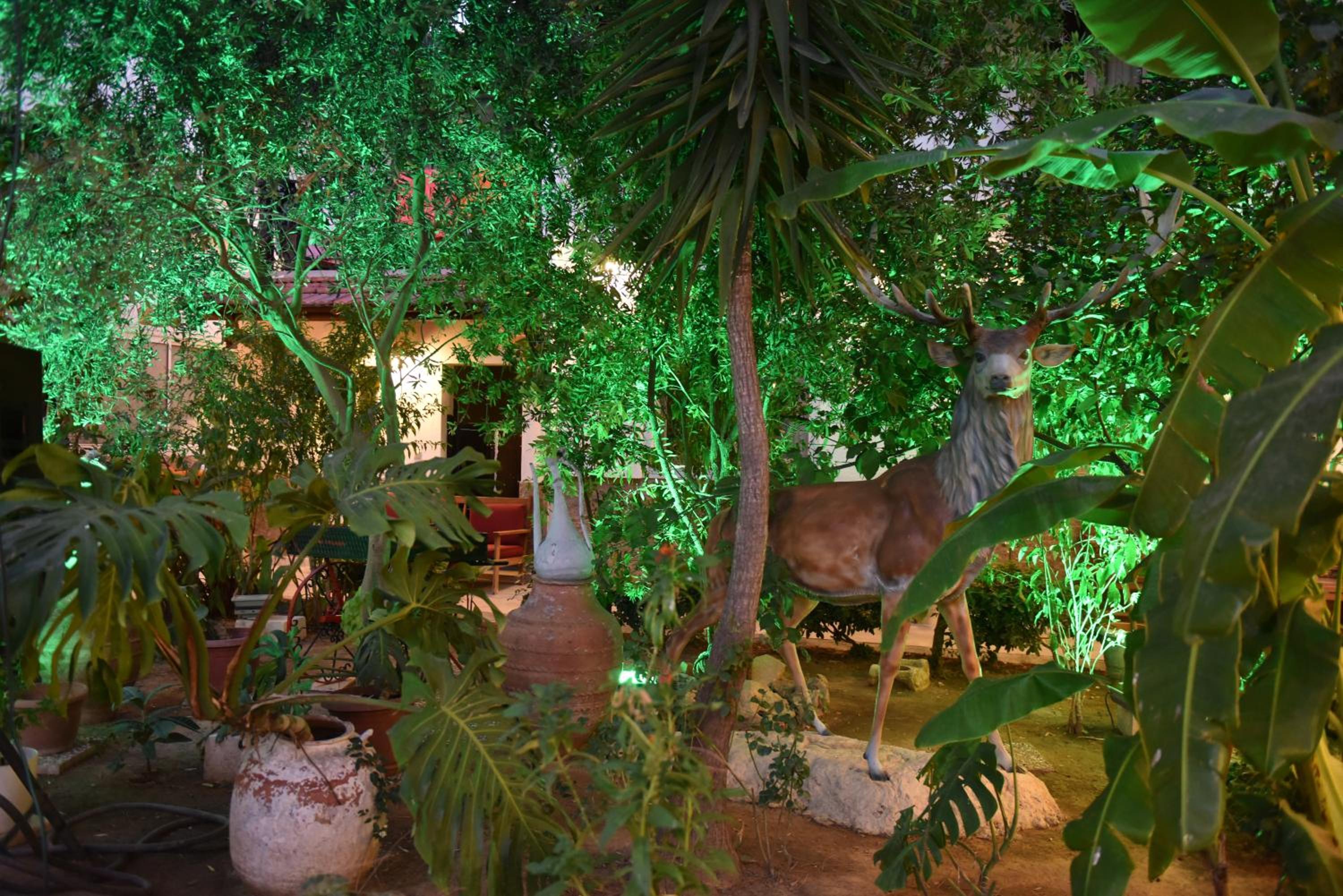HOTEL ISTANKOY BODRUM — BODRUM — фотография отеля №36