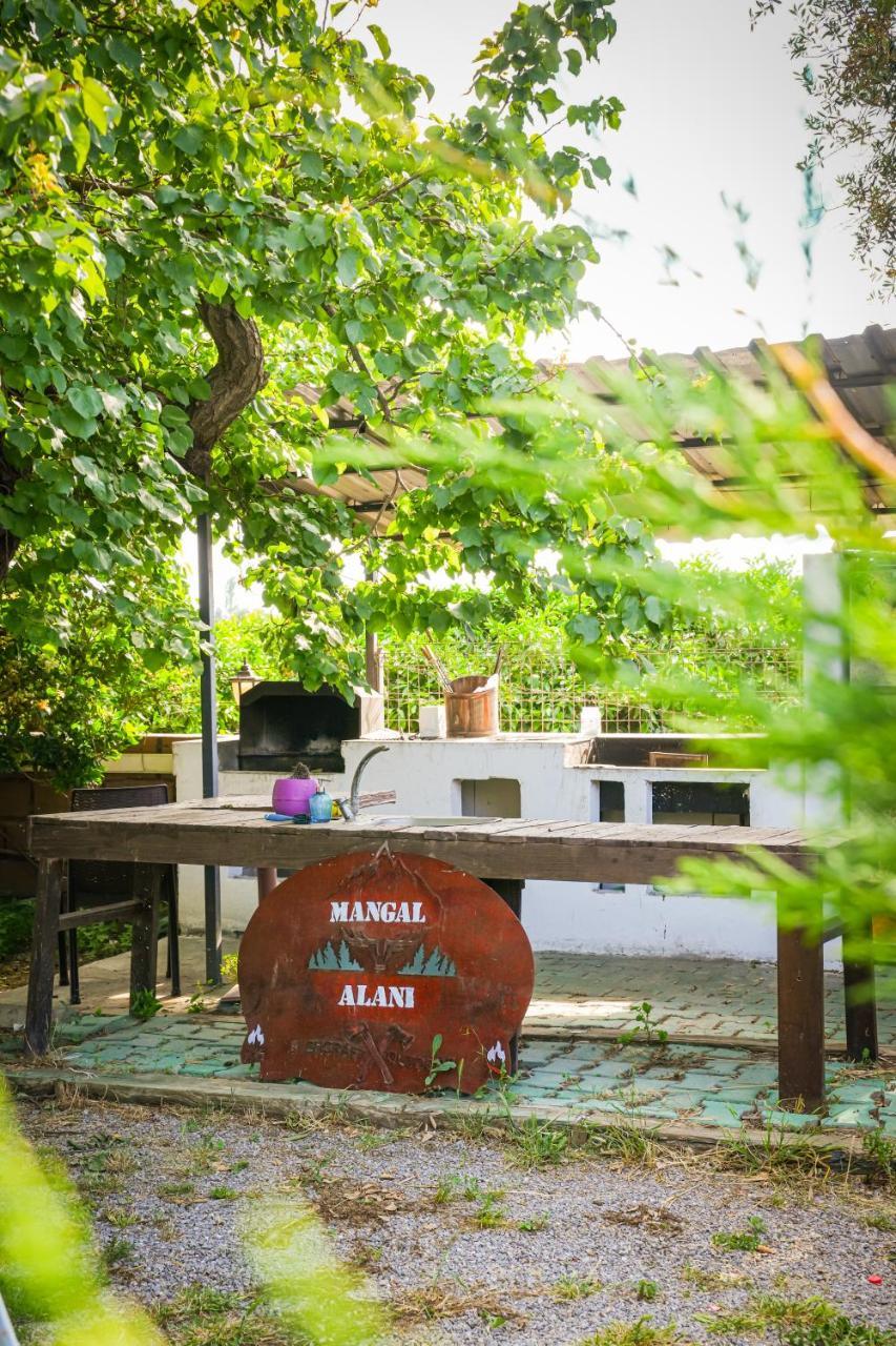 MONA GLAMPING CARAVAN SUITES — SEFERIHISAR — фотография отеля №22