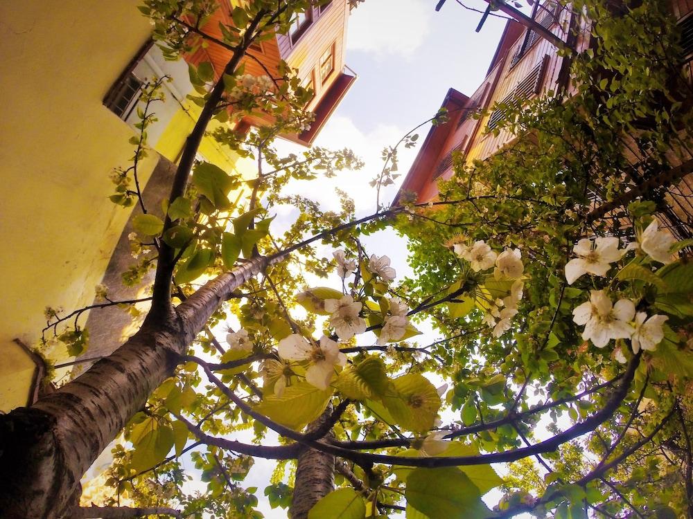 OTTOMANS PEARL HOTEL — ISTANBUL — fotografie hotel nr. 33