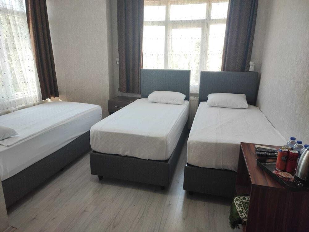 OTEL ERCIYES — ISTANBUL — фотография отеля №7